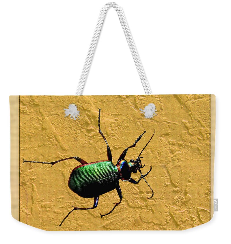 Nature Weekender Tote Bag featuring the photograph Jeweltone Beetle by Debbie Portwood