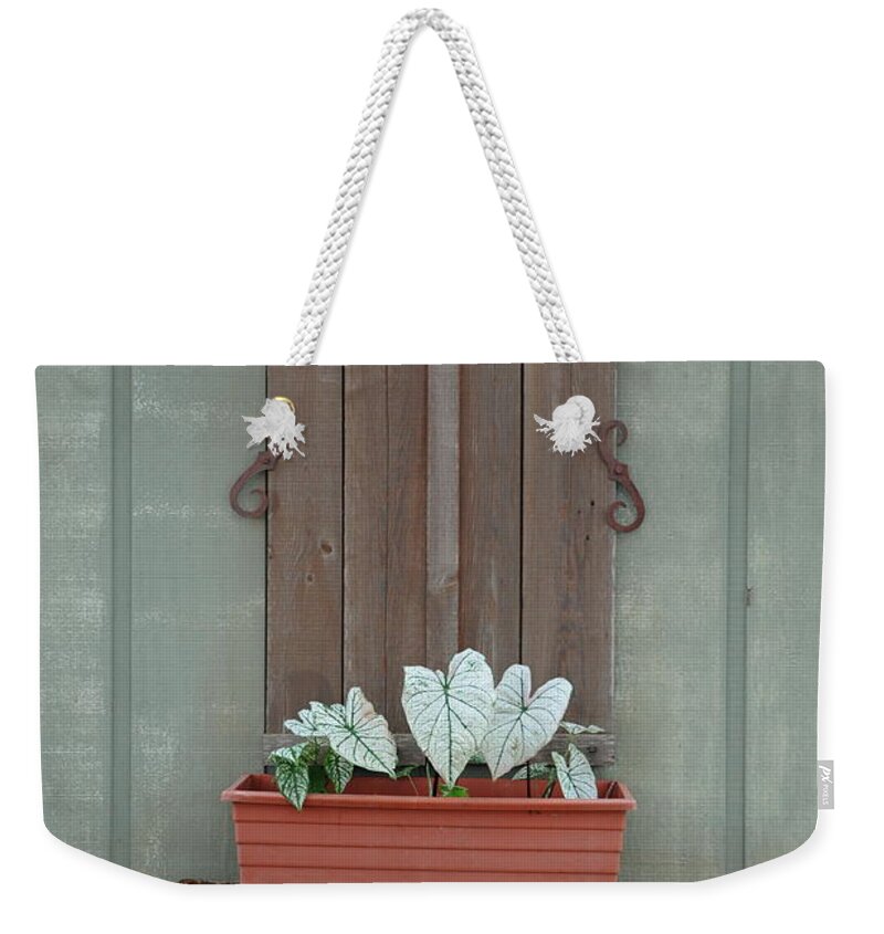 Louisiana Weekender Tote Bag featuring the photograph Juanita's Window by Ron Weathers