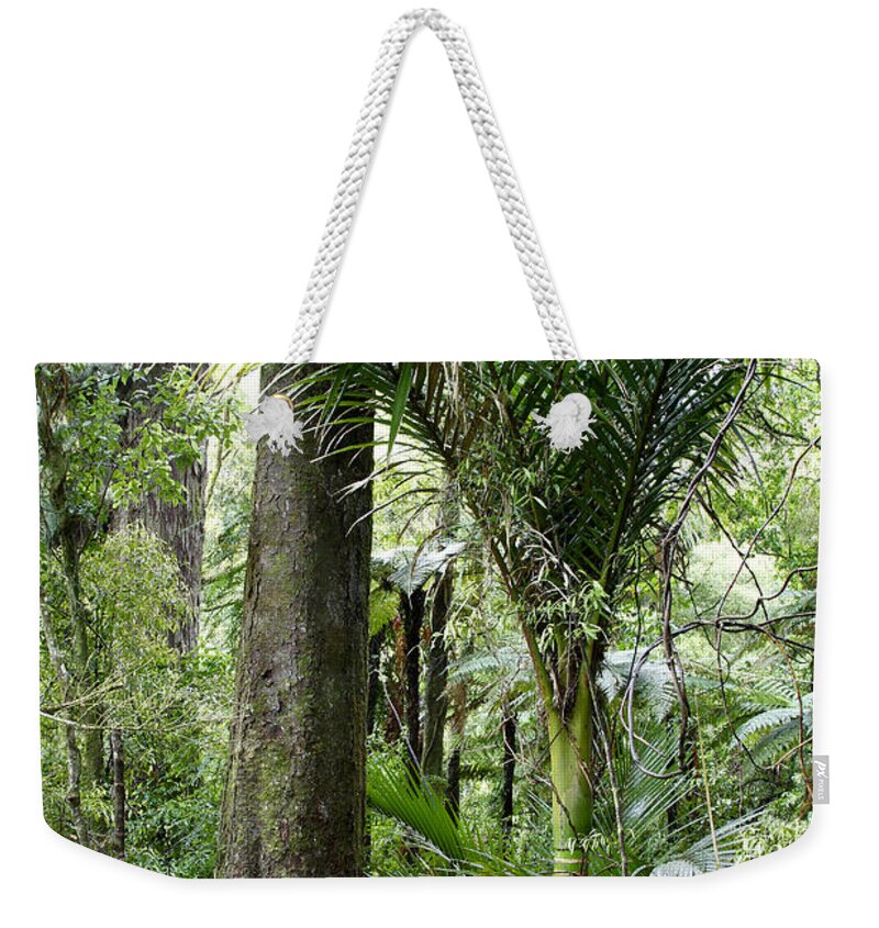 Trees Weekender Tote Bag featuring the photograph Jungle by Les Cunliffe