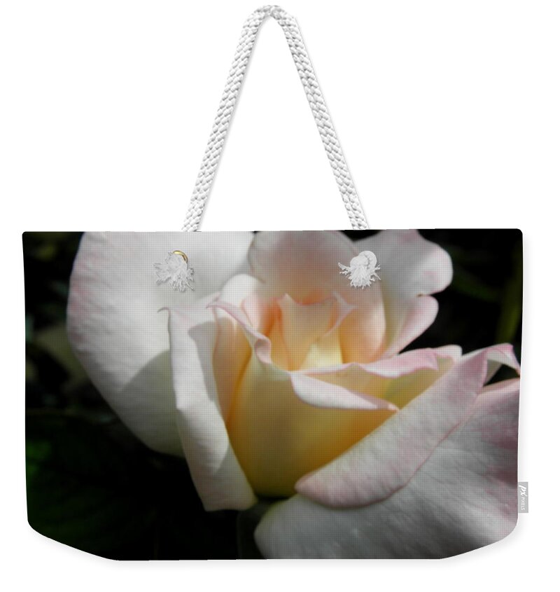 Pink Weekender Tote Bag featuring the photograph Just A Hint Of The Sun Rays by Kim Galluzzo