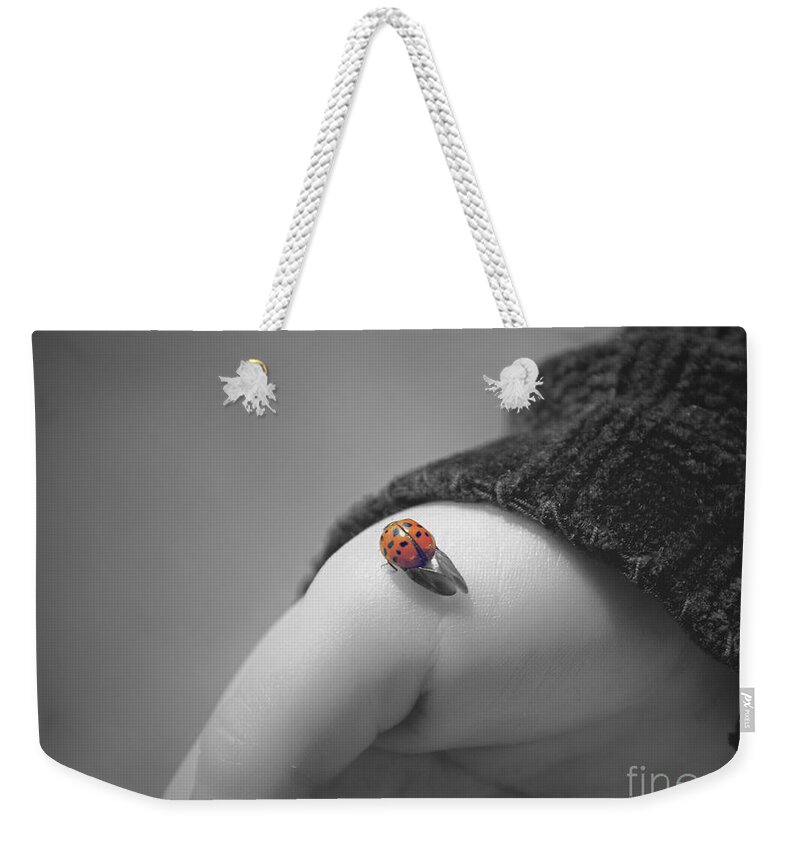 Ladybug Weekender Tote Bag featuring the photograph Just for a moment by Aimelle Ml