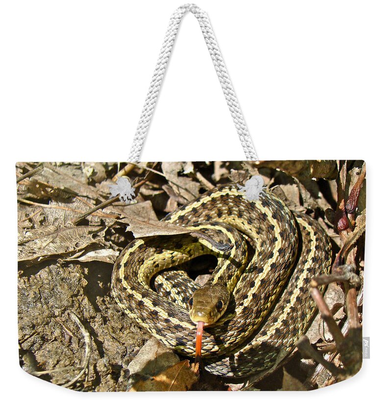 Snake Weekender Tote Bag featuring the photograph Juvenile Eastern Garter Snake - Thamnophis sirtalis by Carol Senske