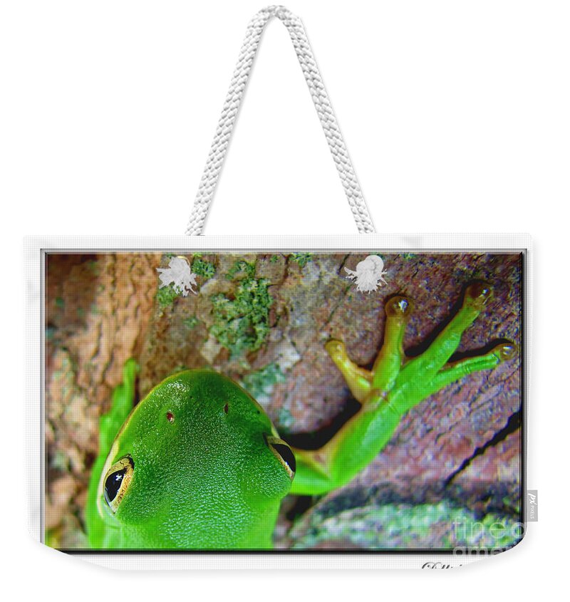 Nature Weekender Tote Bag featuring the photograph Kermit's Kuzin by Debbie Portwood