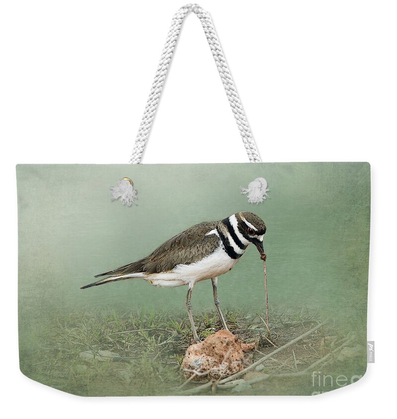 Killdeer Weekender Tote Bag featuring the photograph Killdeer and Worm by Betty LaRue