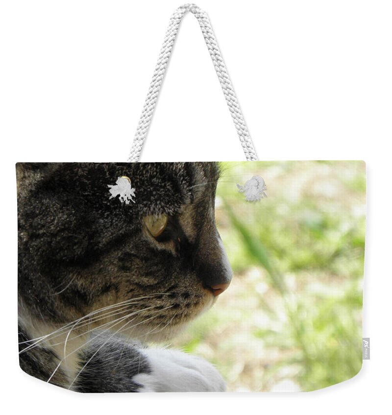 Kitty Weekender Tote Bag featuring the photograph Kitty Fazing Out by Kim Galluzzo Wozniak