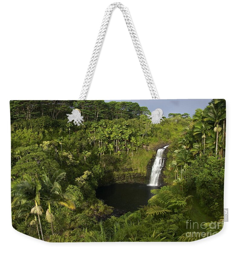 Photography Weekender Tote Bag featuring the photograph Kulaniapia Falls by Sean Griffin