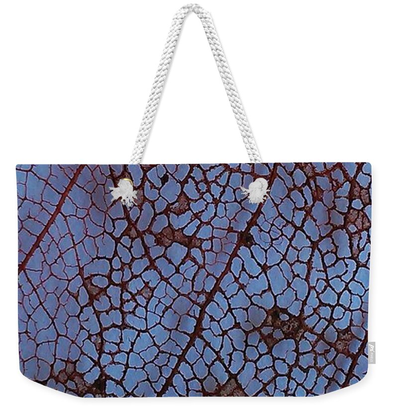  Fine Art America Weekender Tote Bag featuring the photograph Lace Leaf 1 by Jennifer Bright Burr