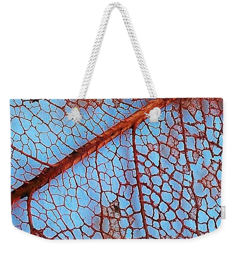  Fine Art America Weekender Tote Bag featuring the photograph Lace Leaf 2 by Jennifer Bright Burr