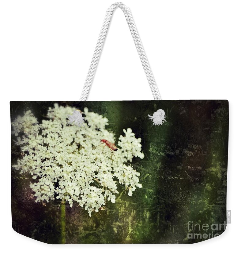 Queen Annes Lace Weekender Tote Bag featuring the photograph Lacy Anne by Traci Cottingham
