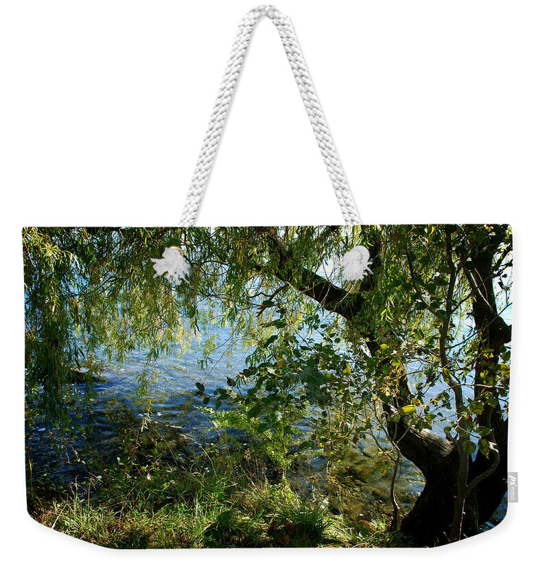 Lake Weekender Tote Bag featuring the photograph Lakeside Tree by Kathleen Grace