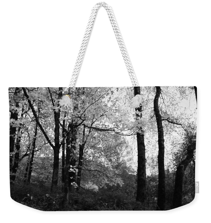Leaves Weekender Tote Bag featuring the photograph Lasting Leaves by Kathleen Grace