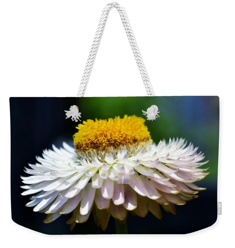 Flower Weekender Tote Bag featuring the photograph Late Arrival by Melanie Moraga