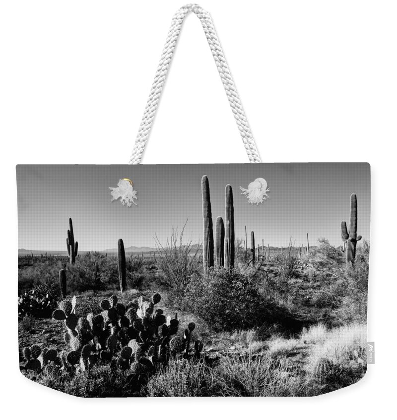 Late Winter Desert Weekender Tote Bag featuring the photograph Late Winter Desert by Chad Dutson