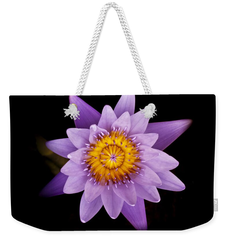 Alone Weekender Tote Bag featuring the photograph Lavender Water Liliy III by Joe Carini - Printscapes