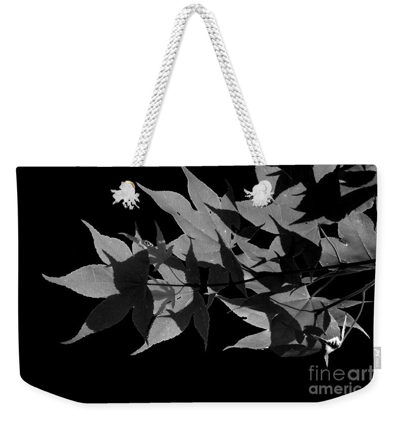 Leaves Weekender Tote Bag featuring the photograph Leaf Shadows by Heather Applegate