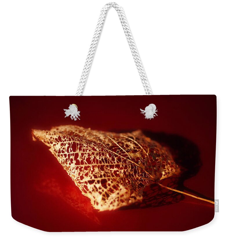 Flora Weekender Tote Bag featuring the photograph Leaf by Tatiana Fess