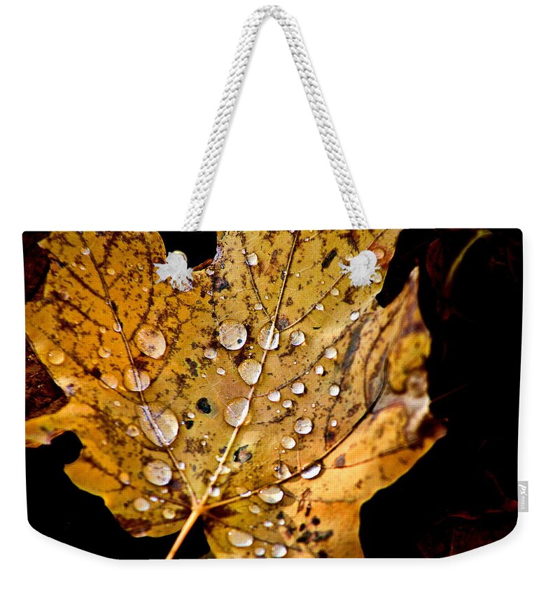Fall Leaf With Water Droplets Weekender Tote Bag featuring the photograph Leafwash by Burney Lieberman
