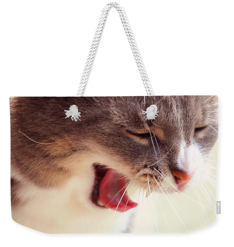 Cat Weekender Tote Bag featuring the photograph Lets Go Sleeping. Kitty Time by Jenny Rainbow