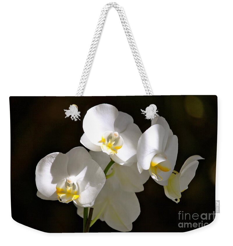 Orchids Weekender Tote Bag featuring the photograph Light on White by Michael Cinnamond