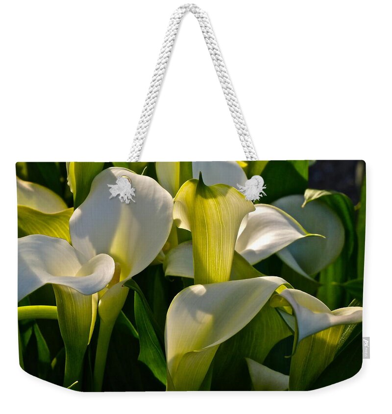 Lily Of The Nile Weekender Tote Bag featuring the photograph Lilies Of The Nile by Byron Varvarigos