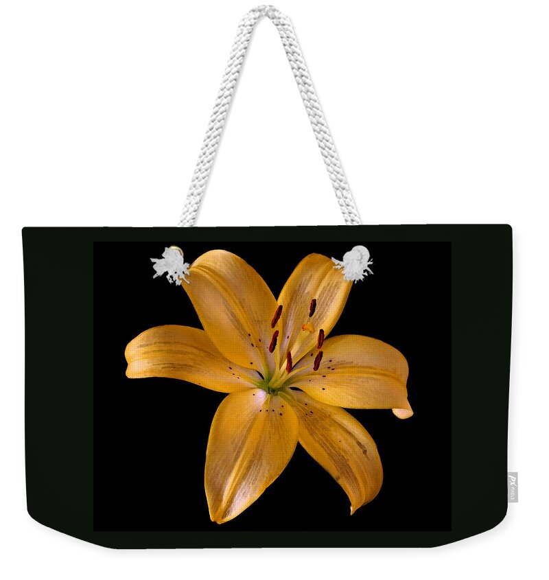 Lily Weekender Tote Bag featuring the photograph Lily by Karen Harrison Brown
