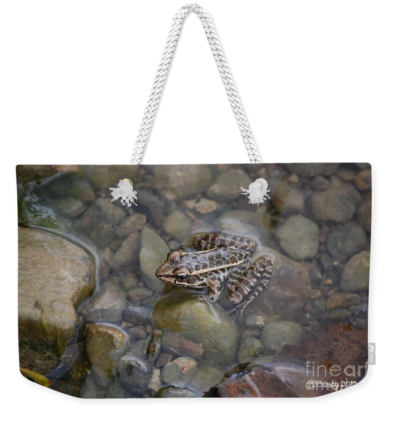 Frog Weekender Tote Bag featuring the photograph Little Frog by Susan Stevens Crosby