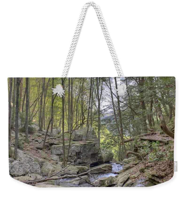 Cloudland Canyon Weekender Tote Bag featuring the photograph Little Stream by David Troxel