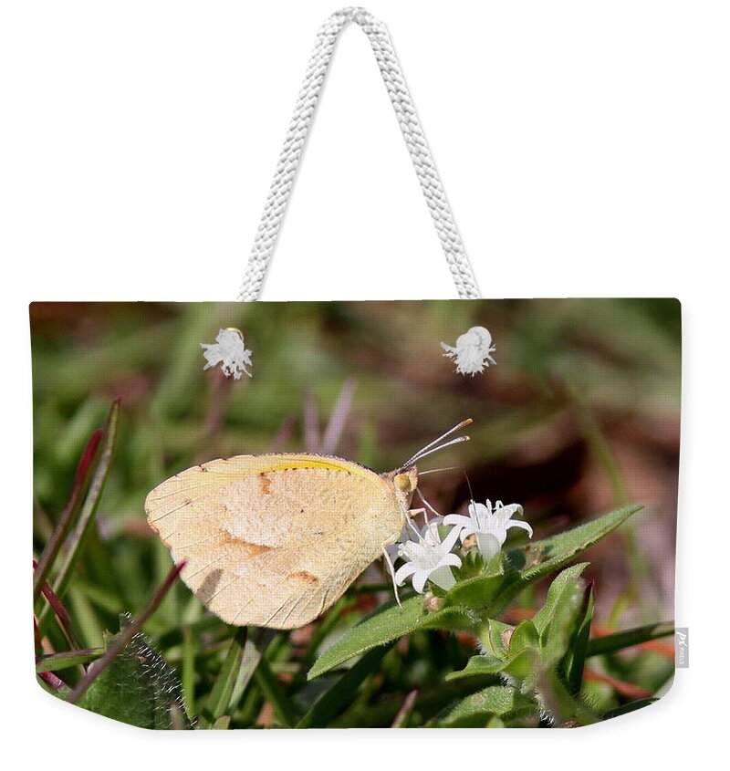 Butterfly Weekender Tote Bag featuring the photograph Little Yellow by Travis Truelove