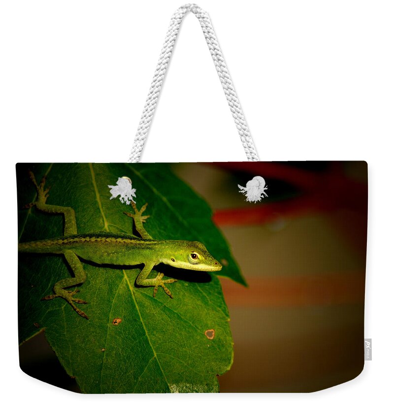 Reptile Weekender Tote Bag featuring the photograph Lizard Portrait by David Weeks
