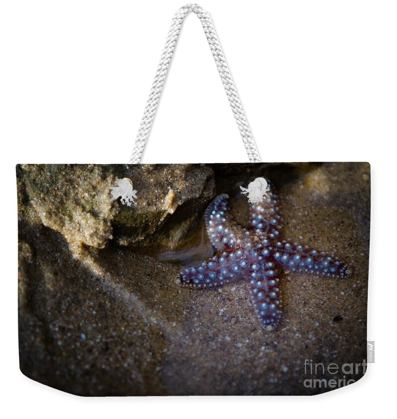 San Diego Weekender Tote Bag featuring the photograph Lone Seastar by Doug Sturgess