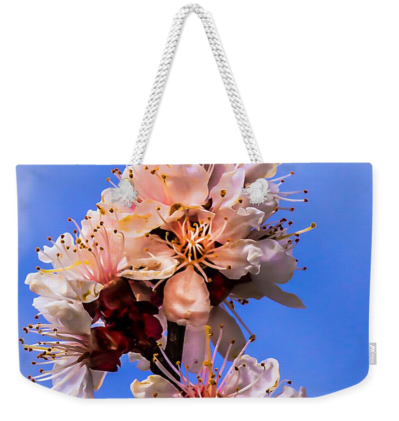 Blooms Weekender Tote Bag featuring the photograph Looking Up by Robert Bales