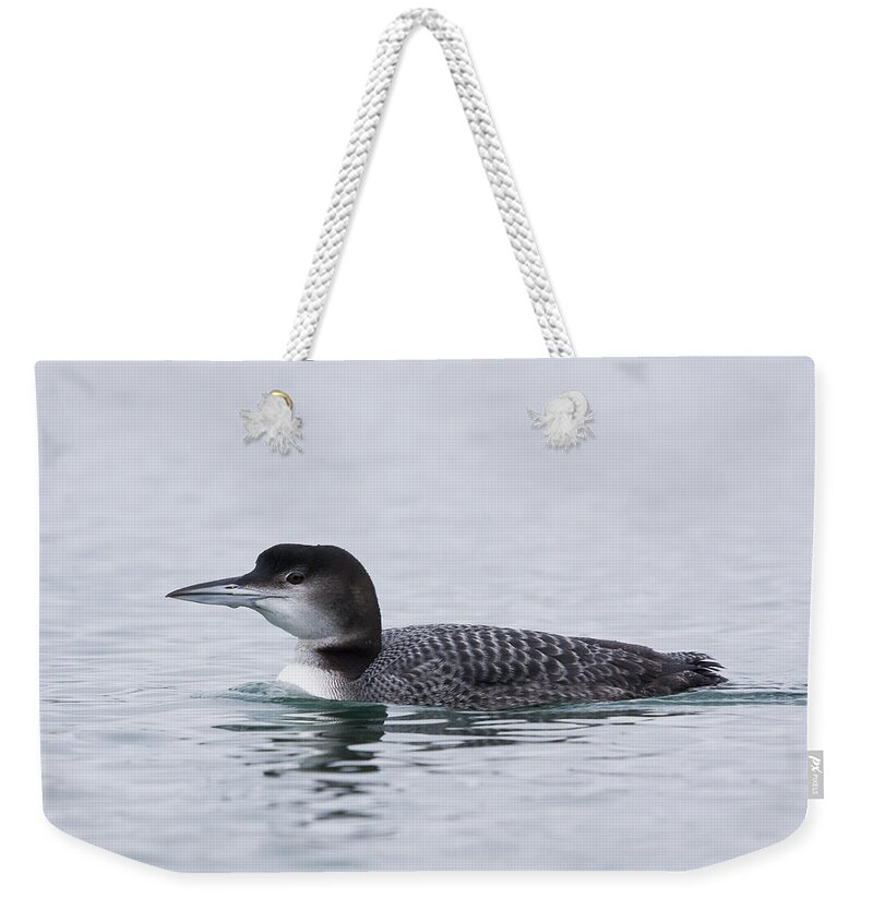 Loon Weekender Tote Bag featuring the photograph Loon by Bob Decker