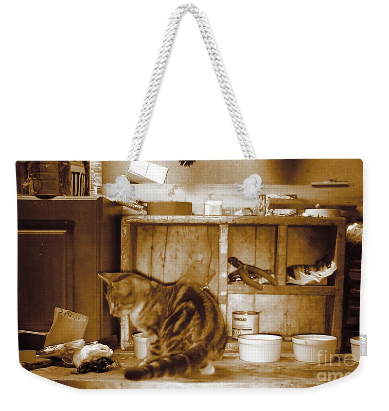 Cat Weekender Tote Bag featuring the photograph Lunch Time by Line Gagne