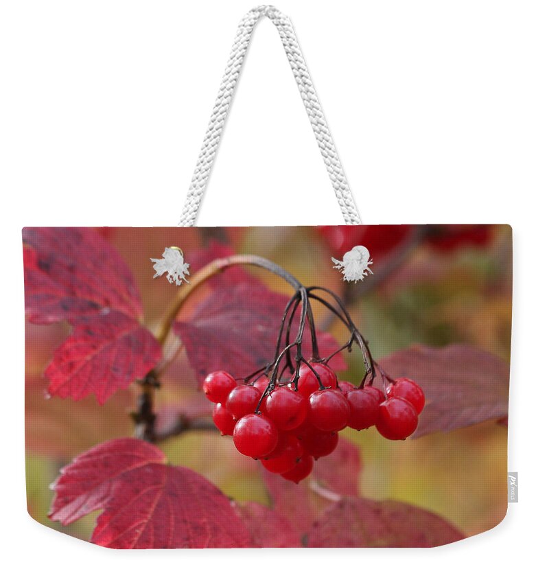 Red Berries Weekender Tote Bag featuring the photograph Luscious by Doris Potter
