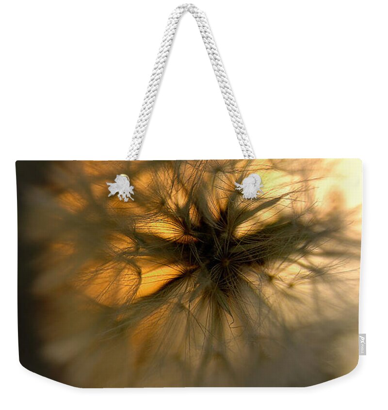 Anticipation Weekender Tote Bag featuring the photograph Make A Wish by Vicki Ferrari