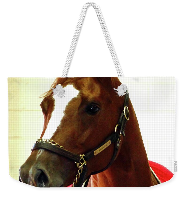 Thoroughbred Race Horse Weekender Tote Bag featuring the photograph 'Marigo in Red' by PJQandFriends Photography