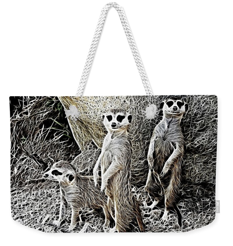 Meerkats Weekender Tote Bag featuring the photograph Meerkat Manor V2 by Douglas Barnard