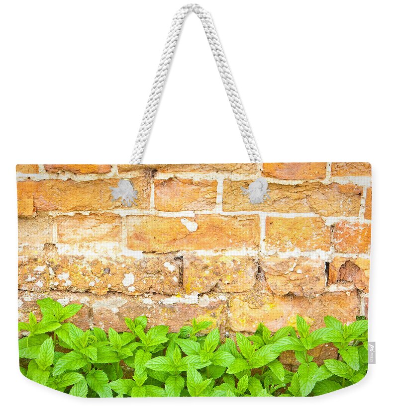 Architecture Weekender Tote Bag featuring the photograph Mint by Tom Gowanlock