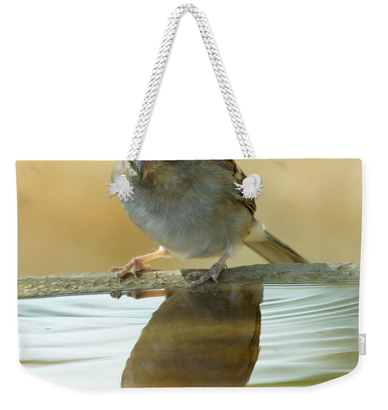 Birds Weekender Tote Bag featuring the photograph Mirror Mirror by Lori Tordsen