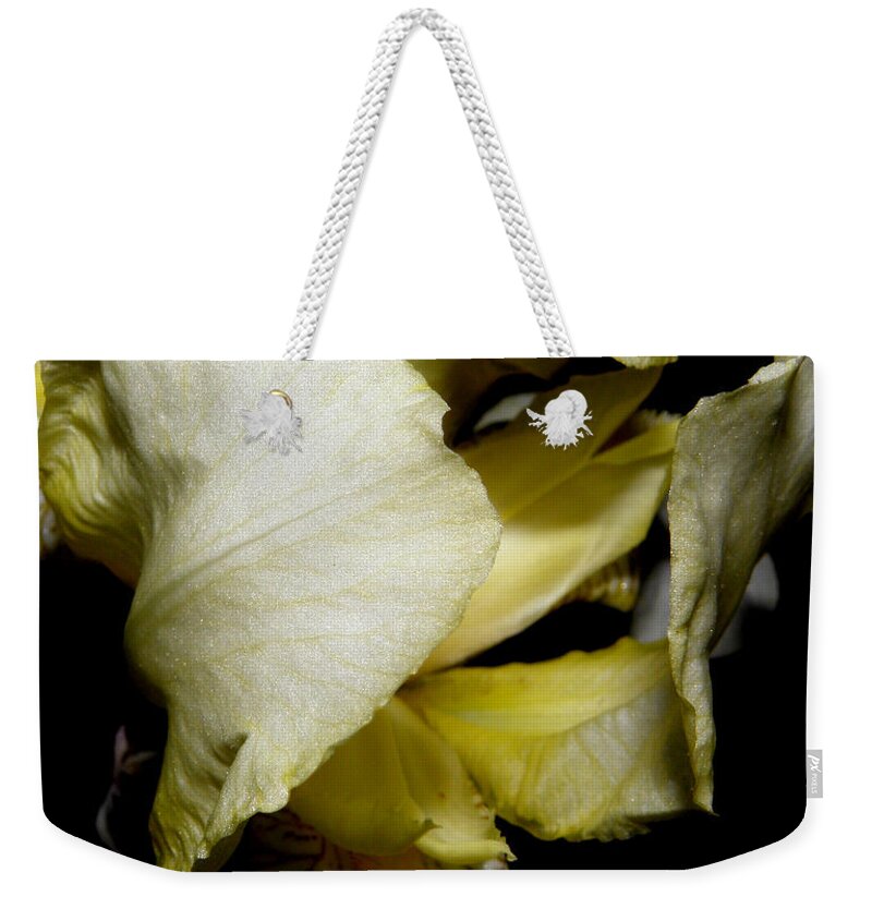 Iris Weekender Tote Bag featuring the photograph Miss Bearded Iris at night by Kim Galluzzo