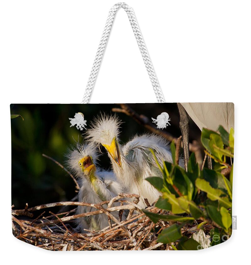 Birds Weekender Tote Bag featuring the photograph Mom He Stepped On Me by Sue Karski