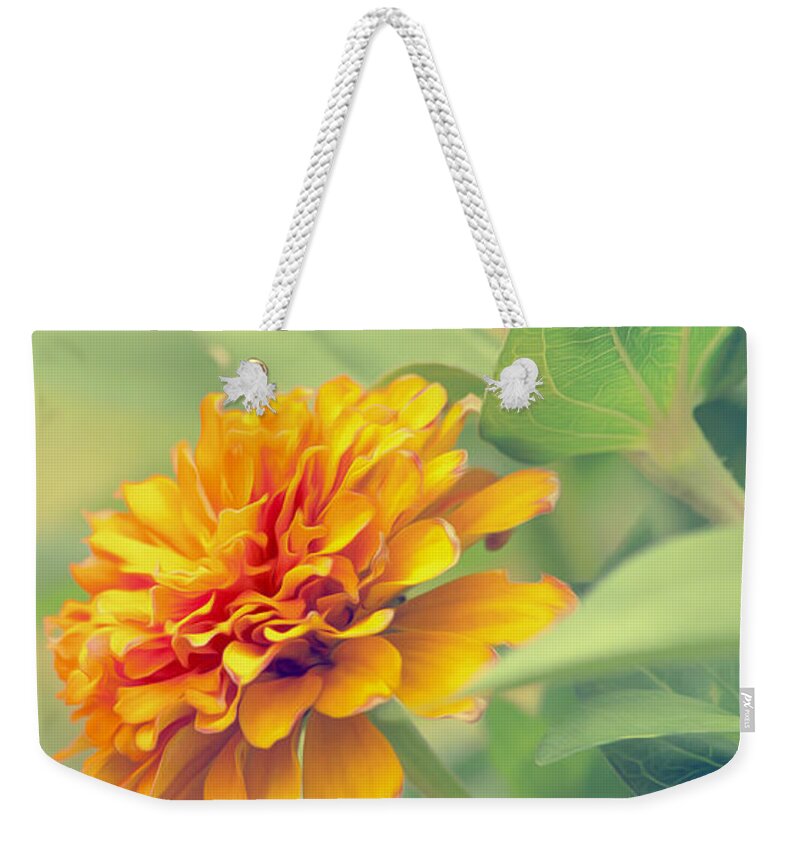 Zinnia Weekender Tote Bag featuring the photograph Monday Morning Glow by Bill and Linda Tiepelman