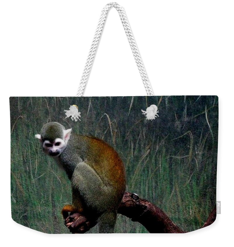 Monkey Weekender Tote Bag featuring the photograph Monkey by Maria Urso