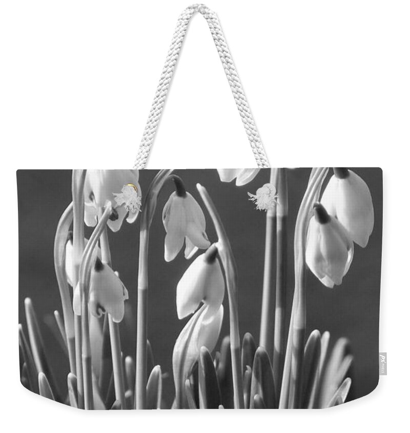 Snowdrops Weekender Tote Bag featuring the photograph Mono Snowdrops by Lynn Bolt