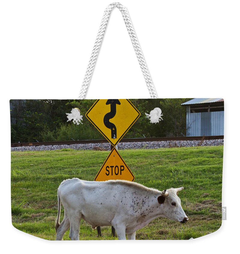 Cattle Weekender Tote Bag featuring the photograph Mooving along by Toni Hopper