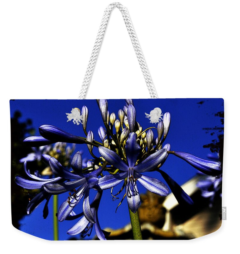 Clay Weekender Tote Bag featuring the photograph Morning Blooms by Clayton Bruster