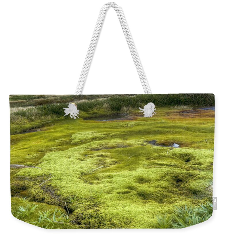 00441036 Weekender Tote Bag featuring the photograph Moss Bed At Cascade Saddle by Colin Monteath