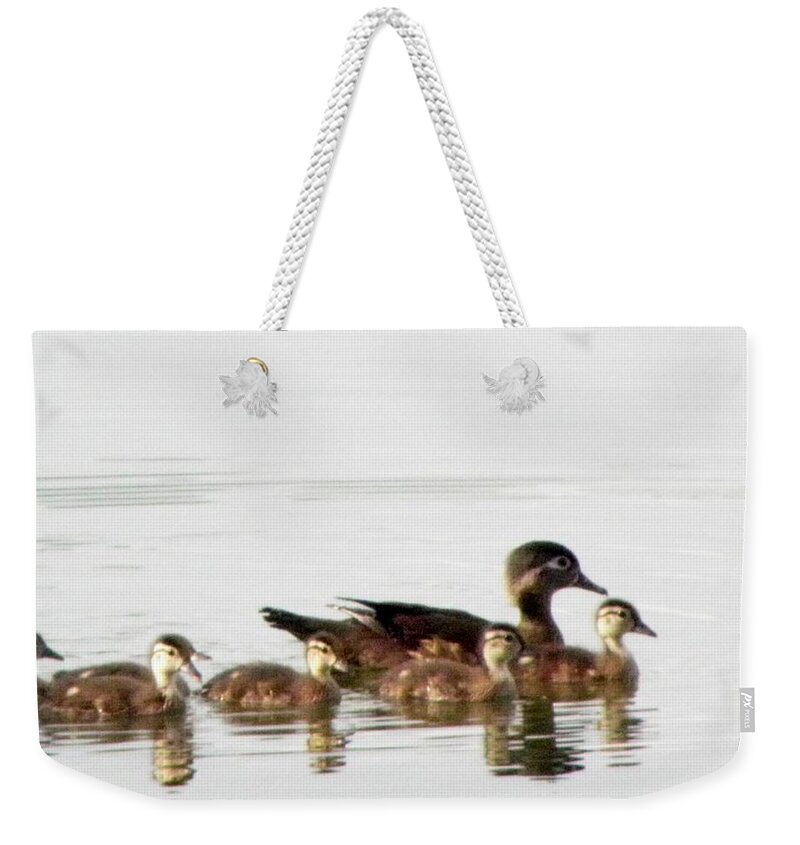 Woodduck Weekender Tote Bag featuring the photograph Motherly Love by Kim Galluzzo
