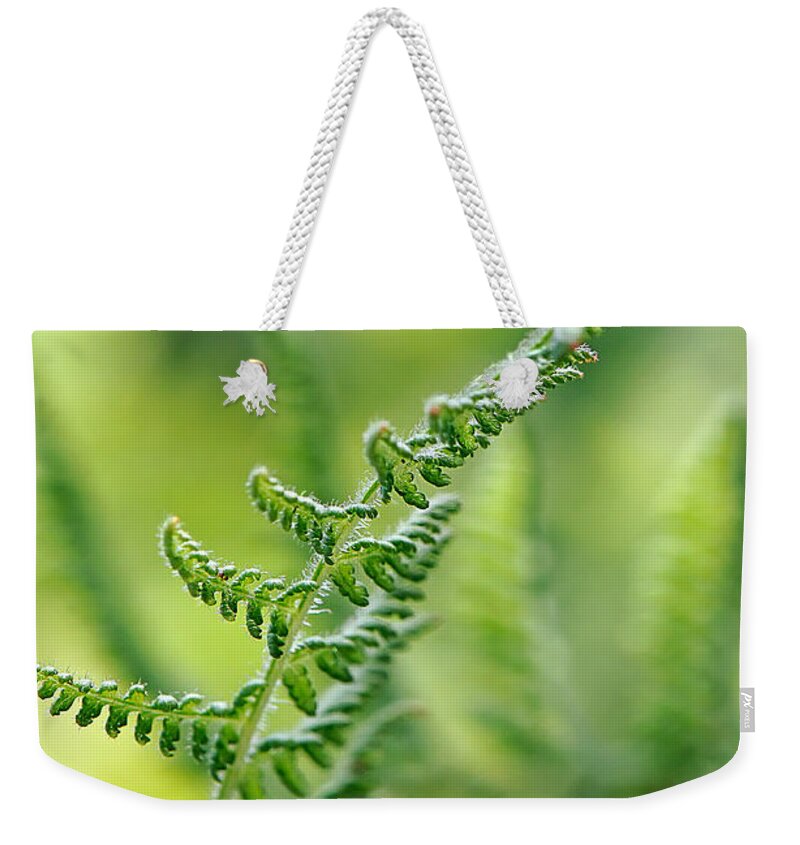 Fern Weekender Tote Bag featuring the photograph Mountain Fern by Lois Bryan