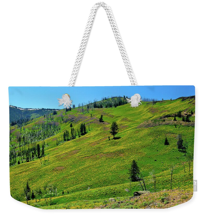 Yellowstone National Park Weekender Tote Bag featuring the photograph Mountain Meadow by Greg Norrell